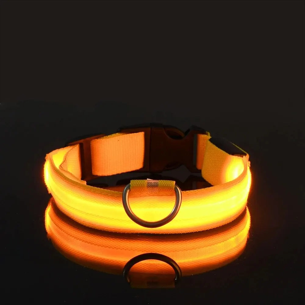 NightSafe LED Dog Leash