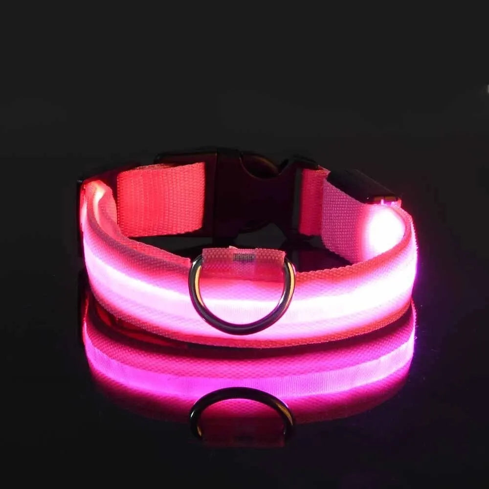 NightSafe LED Dog Leash