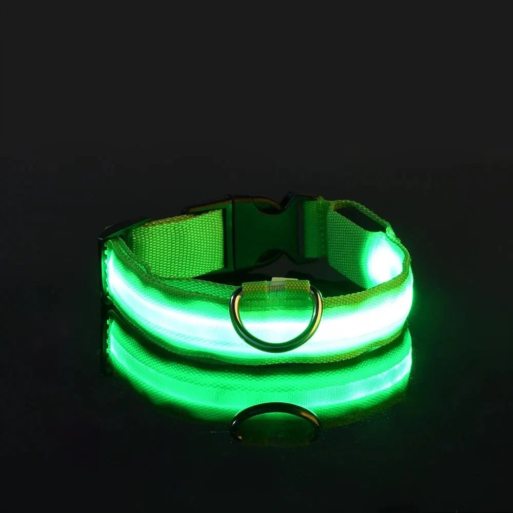 NightSafe LED Dog Leash