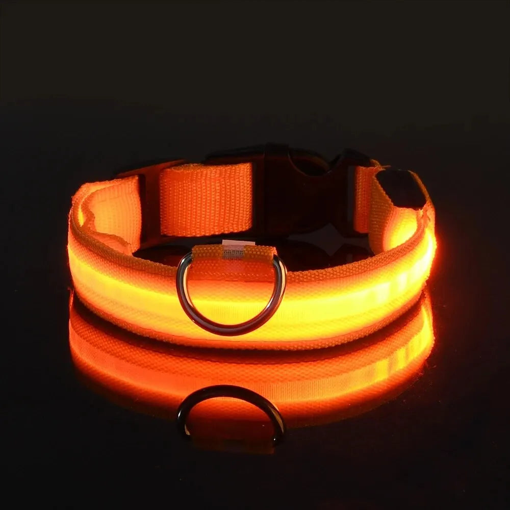 NightSafe LED Dog Leash