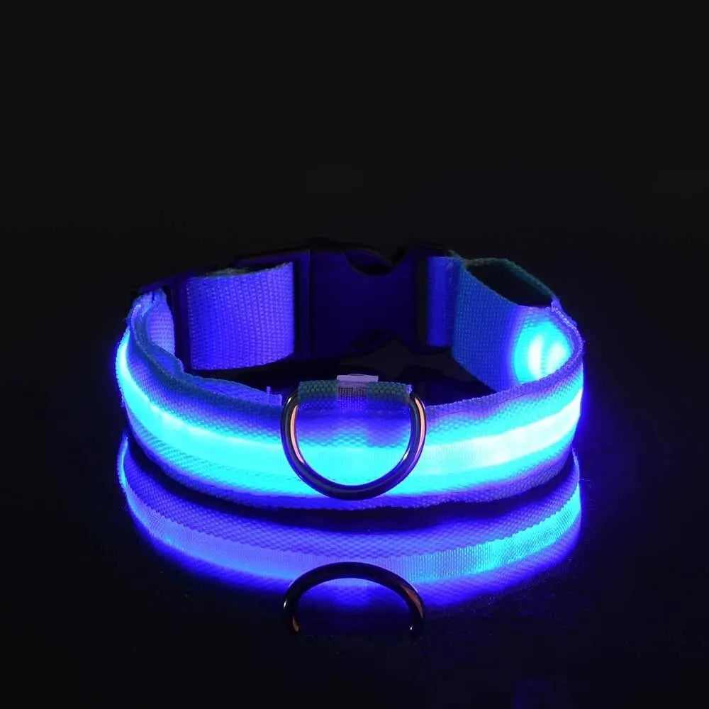 NightSafe LED Dog Leash