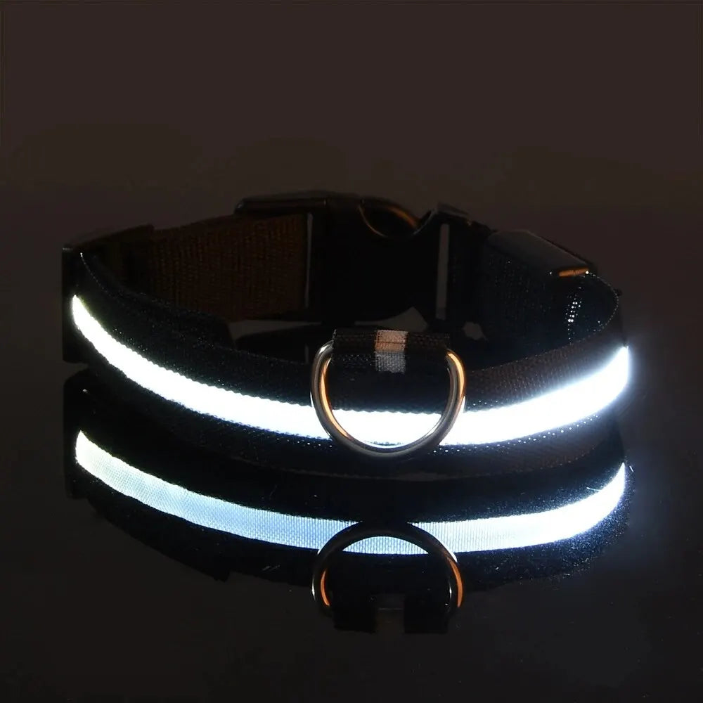 NightSafe LED Dog Leash