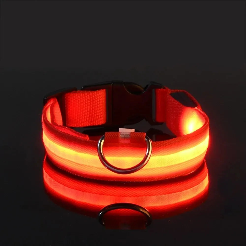 NightSafe LED Dog Leash