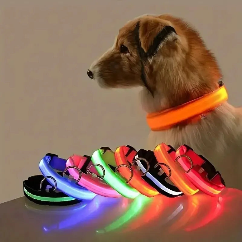 NightSafe LED Dog Leash