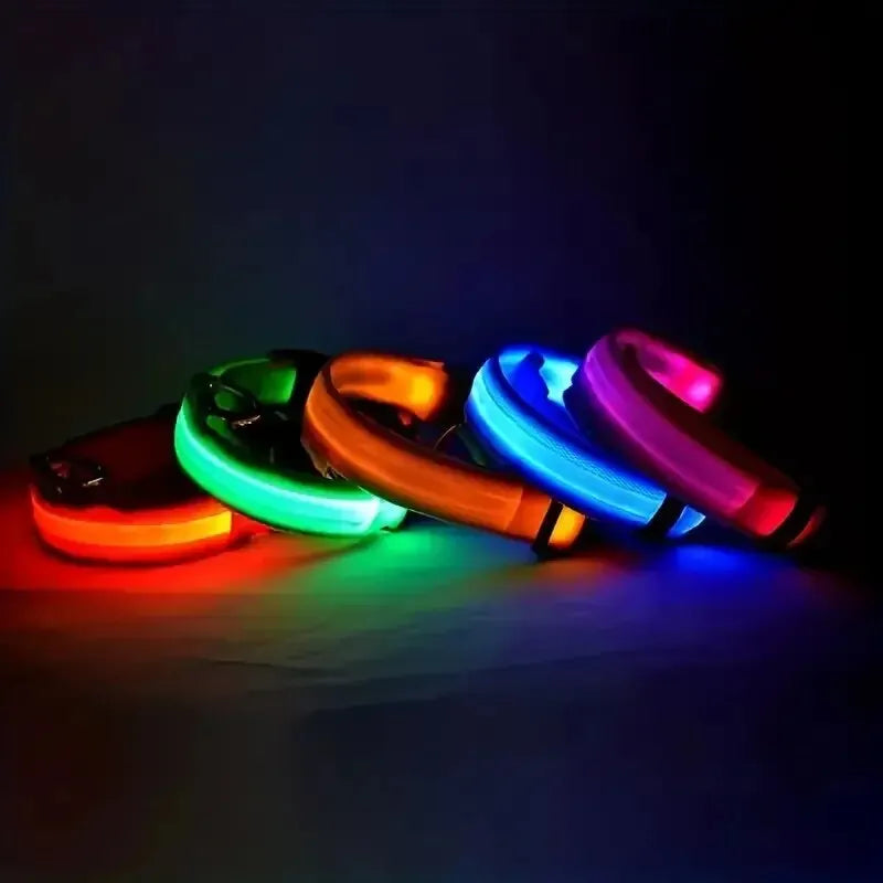 NightSafe LED Dog Leash
