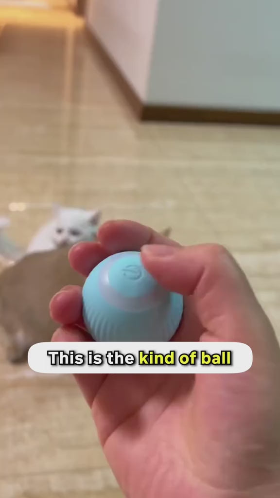Smart Rolling Cat Ball